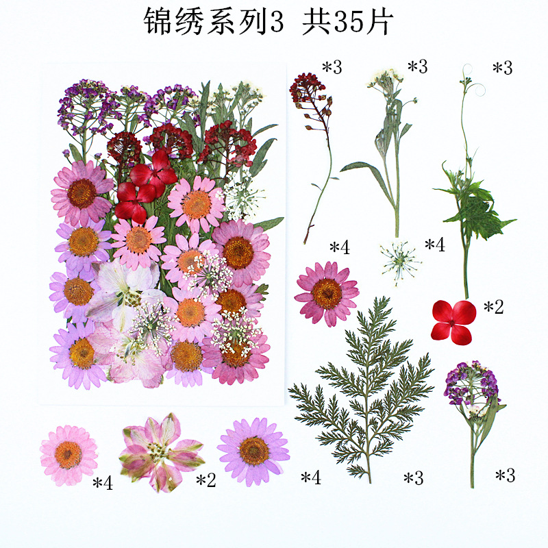 화려한 시리즈 조합 3