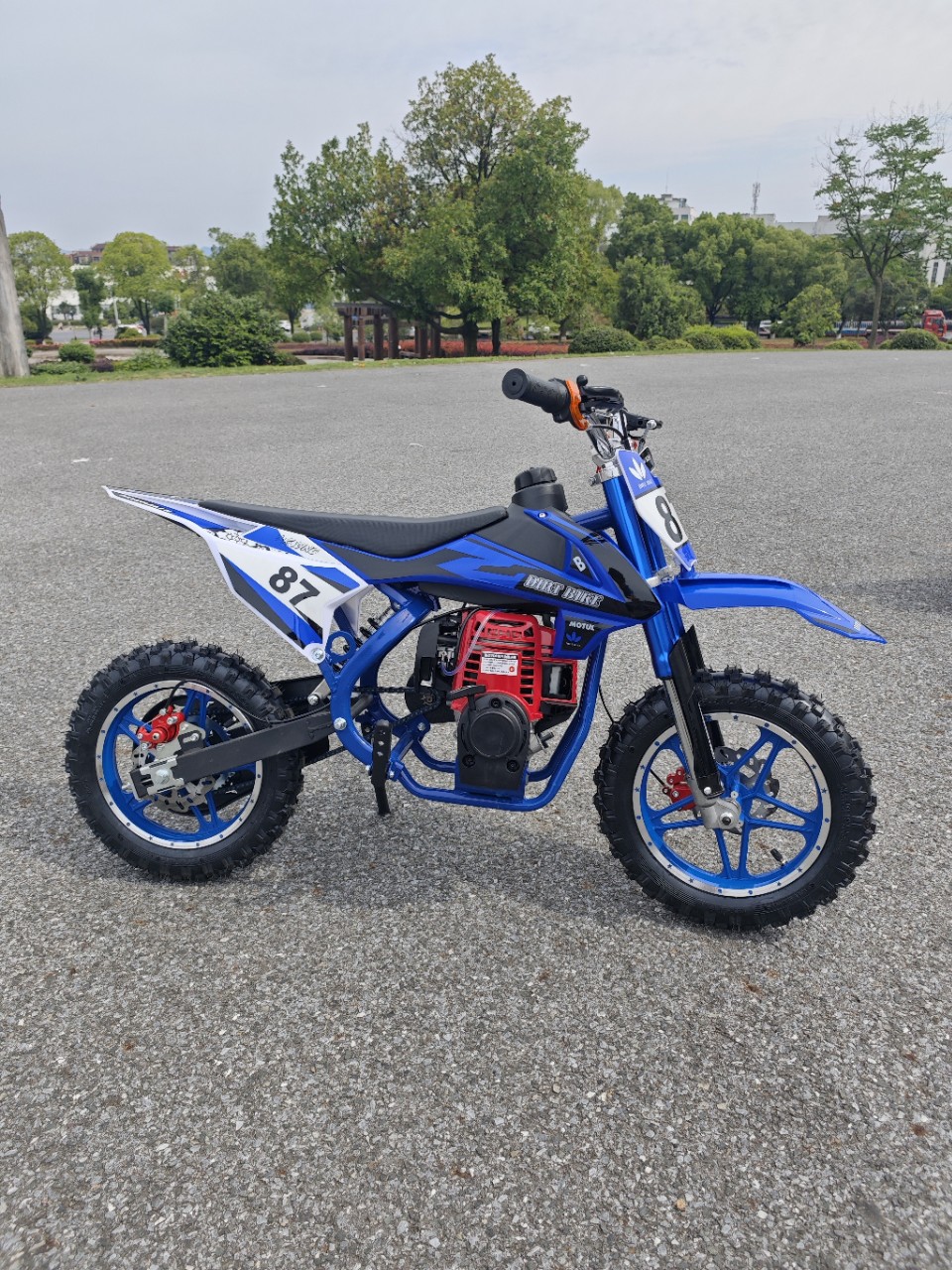Small Motorcycle with 2-Stroke and 4-Stroke Engines, 49Cc Fuel Version, Small Off-Road Vehicle K6 Mountain Bike Pedal