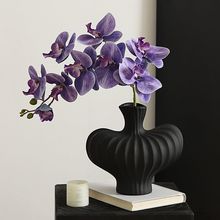 蝴蝶兰仿真花假花摆设小众花瓶轻奢高级感餐桌花艺摆件客厅装饰品