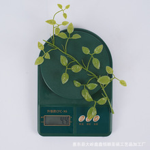 SֱN Gֲ~淬~ }QPE}Q~