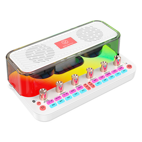 Jinyun C18 All-in-One Sound Card & Audio System: Portable Bluetooth Recording & Karaoke Speaker for Indoor & Outdoor Use – Wholesale Available