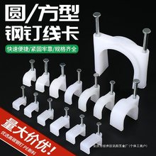 �ᔾ�����늾��̶�ᔾW��ᔿ����ˮ�ࠝ������Ͽ��a����������