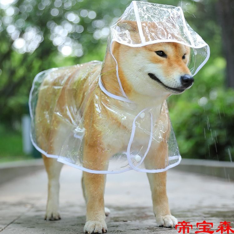 透明狗狗雨衣大型中型犬薩摩耶泰迪比熊金毛防水寵物衣服大狗雨披