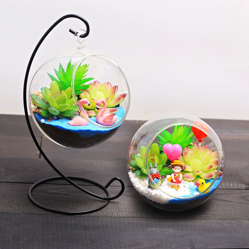 10 и 12 моделирование мясистый микропейзаж экологическое стекло подвесная бутылка DIY Материал Пакет Рабочий стол зеленое растение цветок маленькое растение в горшке