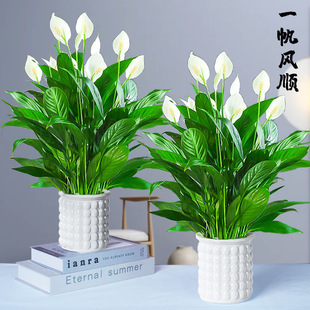 һ���L��������ܾGֲ������ˮ������҃ȿ͏d�[���ͺ���һ�����l