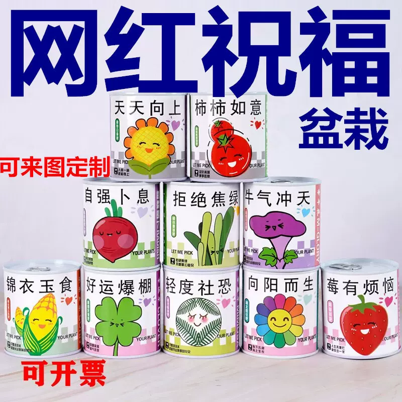 定制易拉罐种植盆栽绿植盲盒小学生植物生长观察发芽种子支持拿样