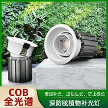 ȫ���V�Gֲ��컨���a�����L�� ��Ƕ��ʽ���{�Ƕ�led����ֲ���