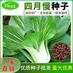 �������������Ϻ���˷N��С�Ͳ��uë�����Դ����ļ��߲˷N��