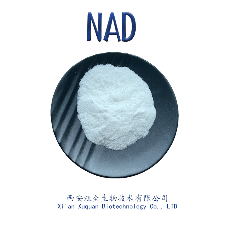 源头厂家NAD99%β-烟酰胺腺嘌呤二核苷 53-84-9  NAD+粉末 现货