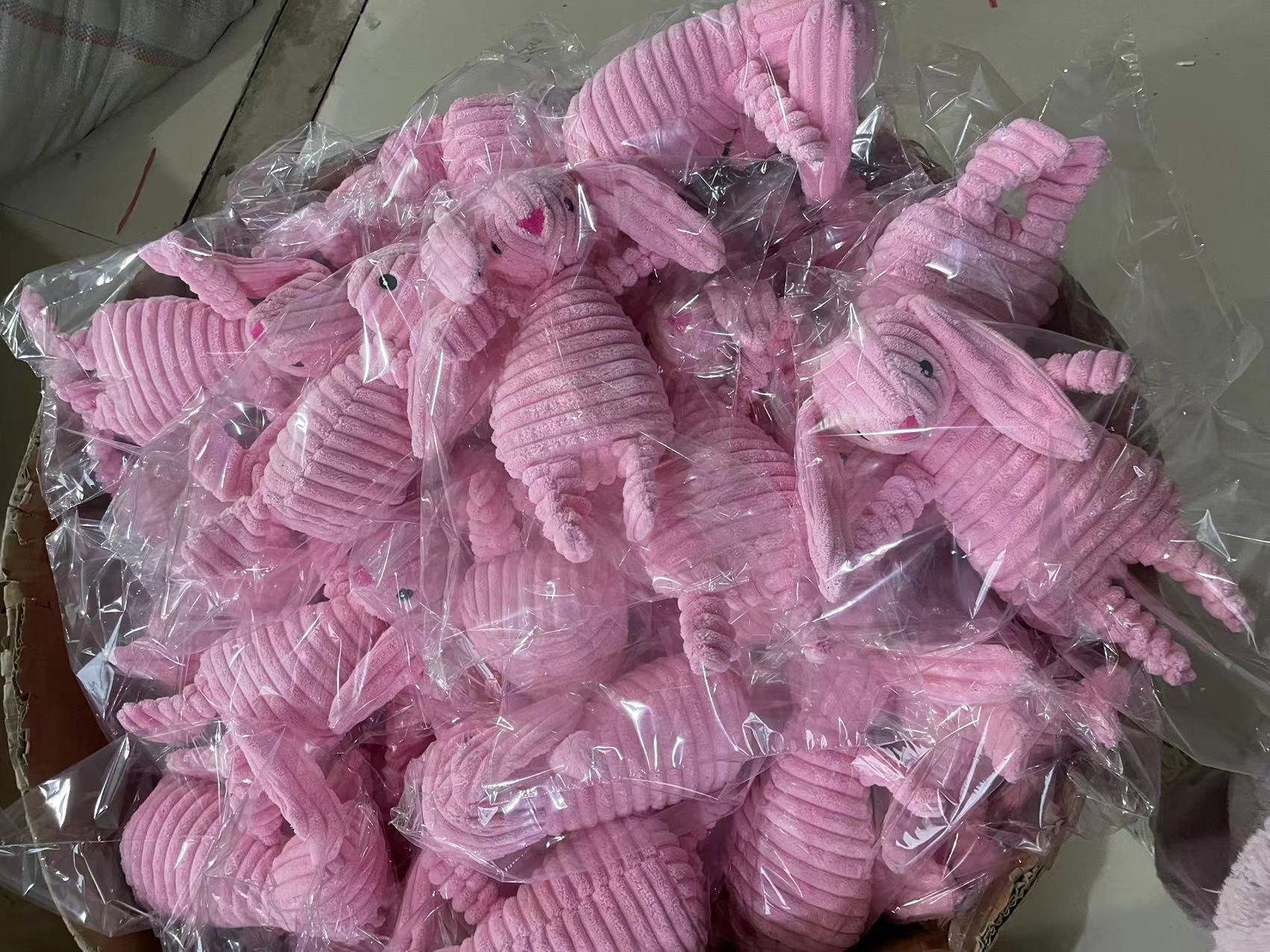 005afedbe8a630218266e546bed902