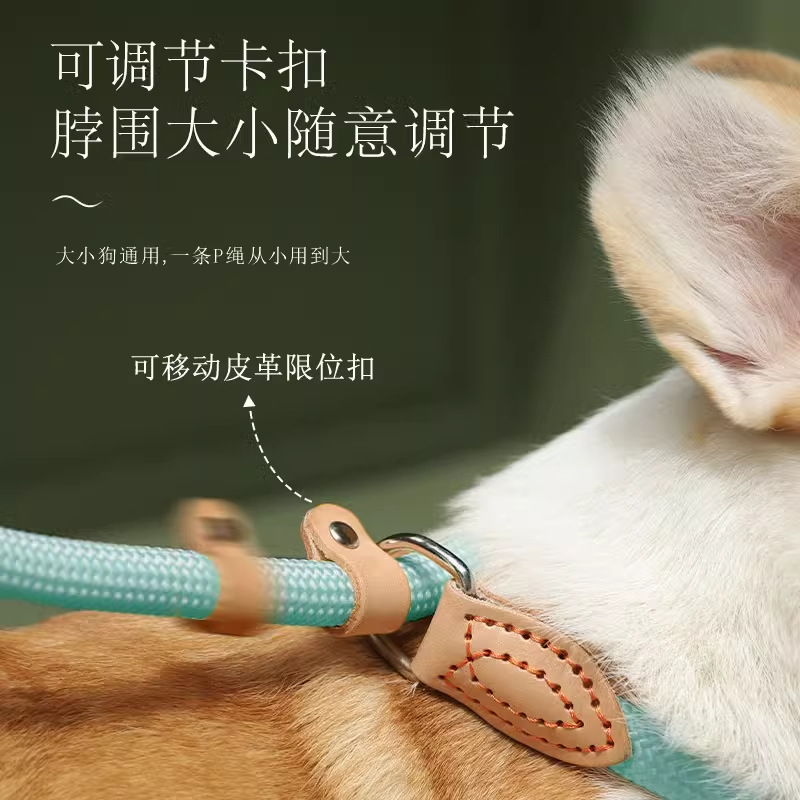 Correa de perro P cuerda correa de perro de una sola pieza anti-rotura perros medianos y grandes punzón a prueba de explosiones P cadena correa de perro Cadena de perro