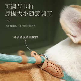 皮链狗绳绳绳遛狗绳子一体式防挣脱中大型犬防爆冲链牵狗绳狗链