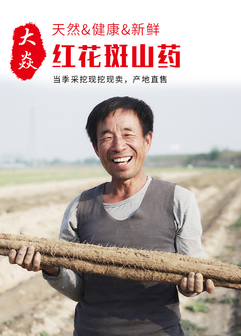 s山药_01.jpg
