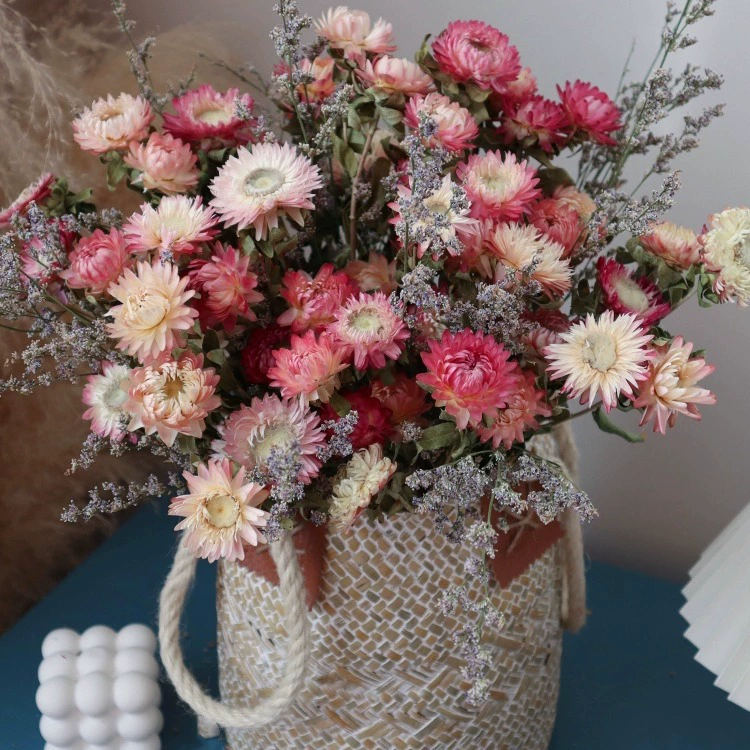 Красочные хризантемы Сухие цветы букет завод оптом ананасовая хризантема майские ромашки ручной работы сухой букет гарнира