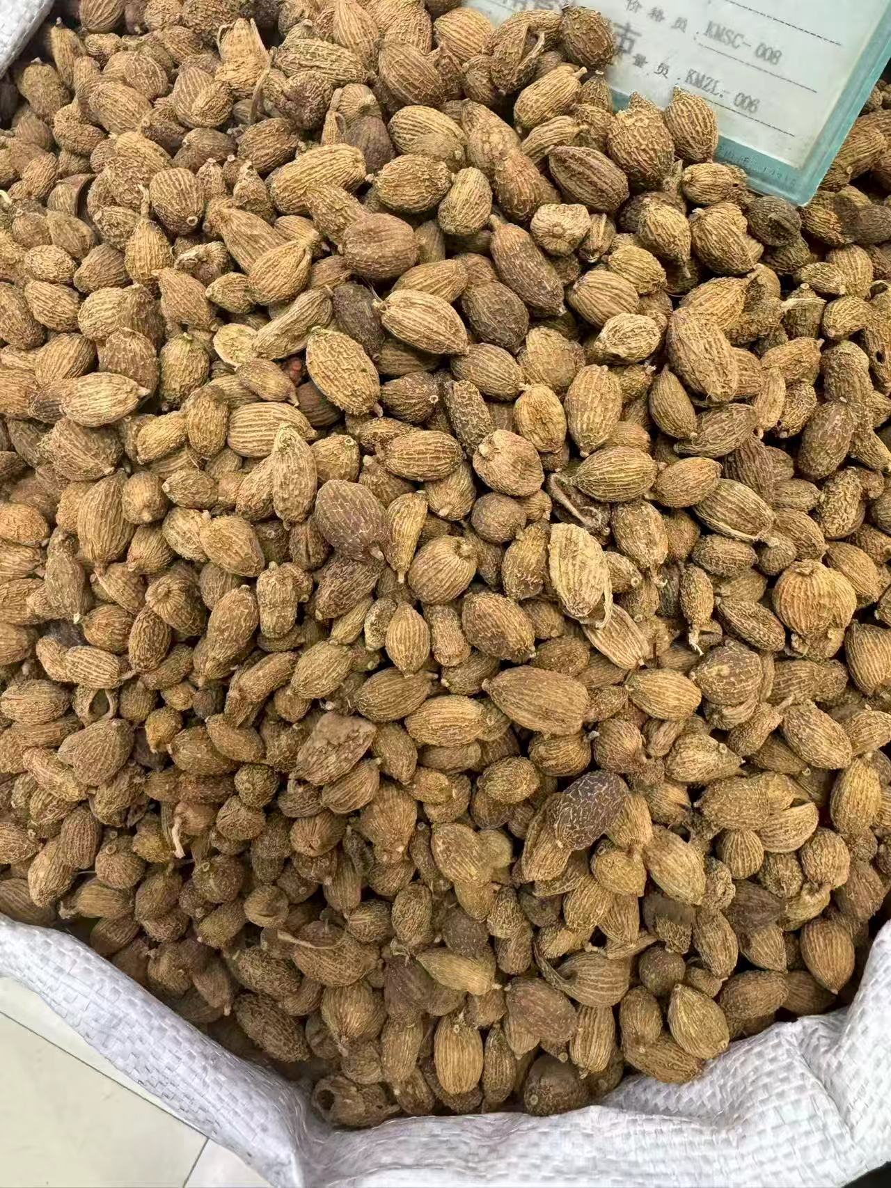 Dried Amomum Fruit Sha Ren 1000g Bag Traditional Chinese Herb for Cooking and Decoction in use