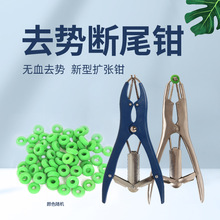 ���β�QȦ���i�oѪȥ���QȦ�i���Ô�βȦ�U���Q��β�Q�F�ßoѪȥ