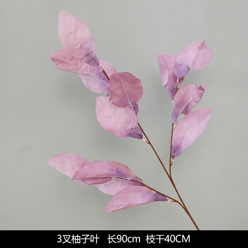 3 포크 자몽 잎