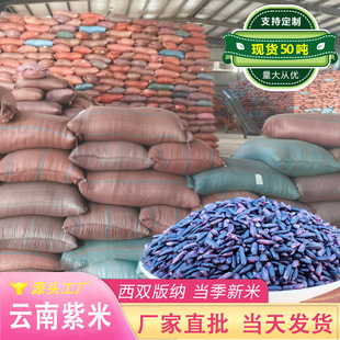 ����������l����s�Zī����Ŵ������F����¶ܛŴ�L����״���