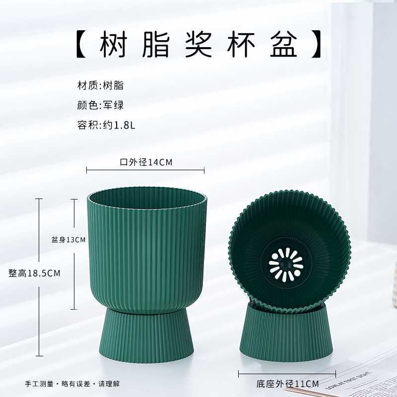 High-end phalaenopsis basin army green (pot diameter 14cm )