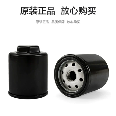 Original Flash 250V Double Cylinder Air filter
