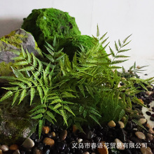 ����Gֲ����b��쾰�҃�ܛ�b��֧����ާ�Сֲ�����΢���^�G��