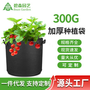 �羳���ۯB�Nֲ���Ӻ�o������ֲ��ֲ������L�@ˇ�����ֲ���