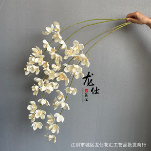 ��Y���滨�����f���m2���f���m��Ȼ�L���Ļ�Y��ˇ������c����