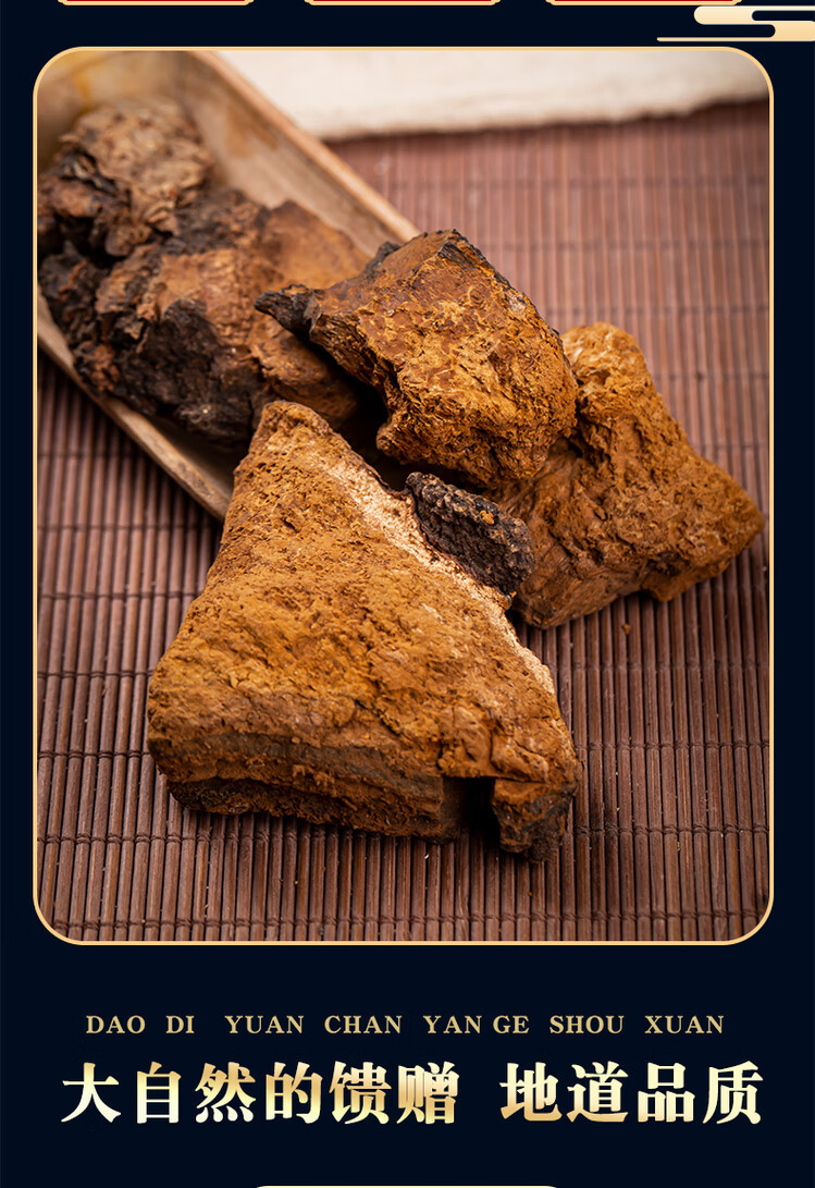 Chaga Mushroom Granules Hua Shu Rong 500g Wild Harvested Birch Conk for Daily Herbal Tea and Decoction key features