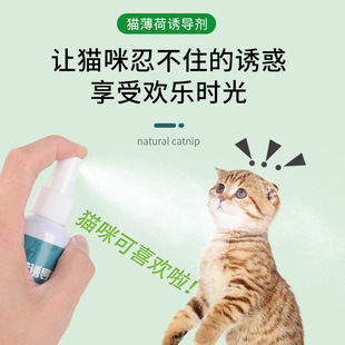 Bottled Catnip Shredded Leaves Inducer Cat Self-Pleasure Liquid Catnip Spray Catnip Shredded Leaves Bottle