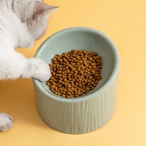 Ceramic Cat Bowl with Sloped Edge, Tall Legs for Dogs and Cats, Pet Food Bowl for Cats and Dogs, Anti-Spill Pet Supply