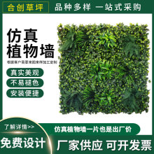 GֲGɫϼٲƤT^҃ȱ󻨠ֲbƺ