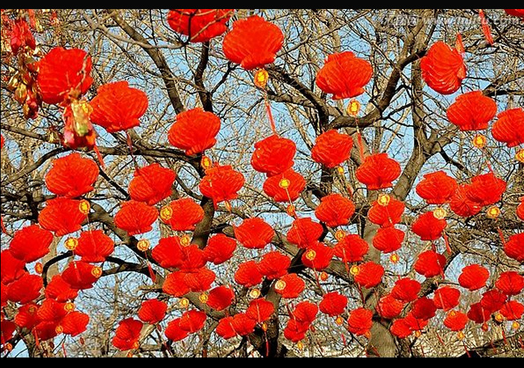 592342770002d5962648e-8fdc-4dd