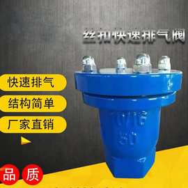 P11X丝扣快速排气阀 球墨铸铁排气阀 微量丝扣自动排气阀