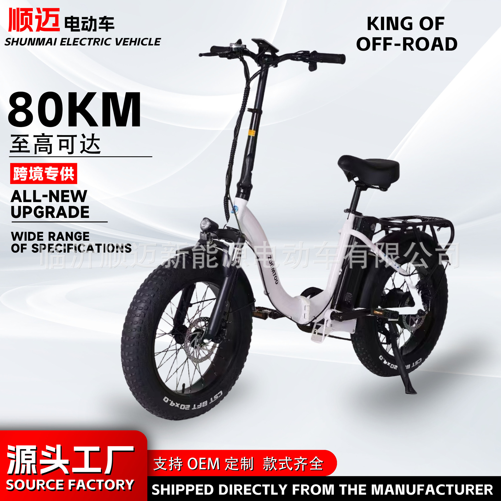 Cross-Border Export 20inch Electric Vehicle Snow Tire Folding Electric Bicycle Double Battery Vehicle Direct Supply from Source Factory