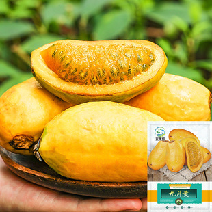 �����S�˅����u�ļt�S����𽶹������ϰ������ٰ���ը�����_��