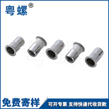 304���P䓴���^�T��ĸ ����^�Q�y���T��ĸ �l�y����^���T��ñ