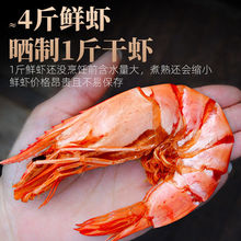 特大虾干年货九节虾虾干大号竹节虾即食斑节虾对干虾烤虾海鲜干货