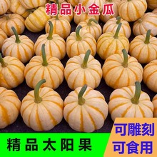 桔瓜迷你贝贝小金瓜新果精品果新鲜南瓜盅南瓜灯装饰包包邮