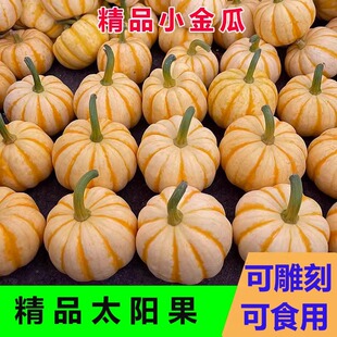 �۹�����ؐؐС����¹���Ʒ�����r�Ϲ����Ϲϟ��b����]