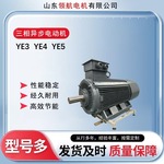 国标全铜三相异步电动机11/15/18.5/22/30/37KW千瓦高速电机380V