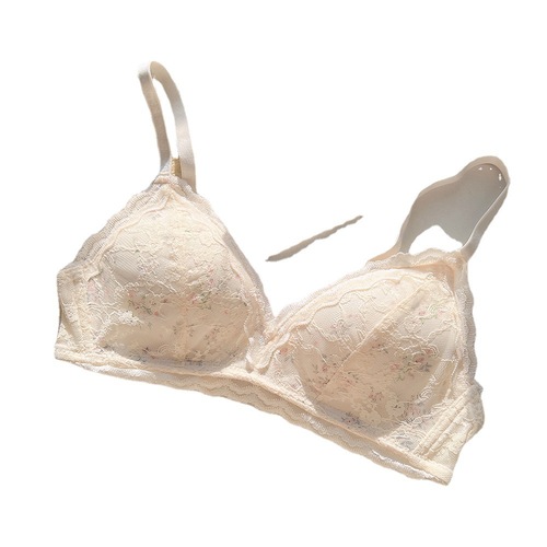 Romantic Pastoral Floral French Triangular Cup Girls Underwear Small Breast Gathering No Wires Sexy Lace Bra Set
