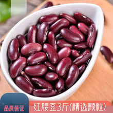 云南红腰豆新豆紫红芸豆大红豆大粒粥煲汤做馅料粽子新鲜干货红豆