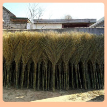 ?��߰Ѵ�߰���ʽ����h�l����܇�g����С�߰ђ��R·