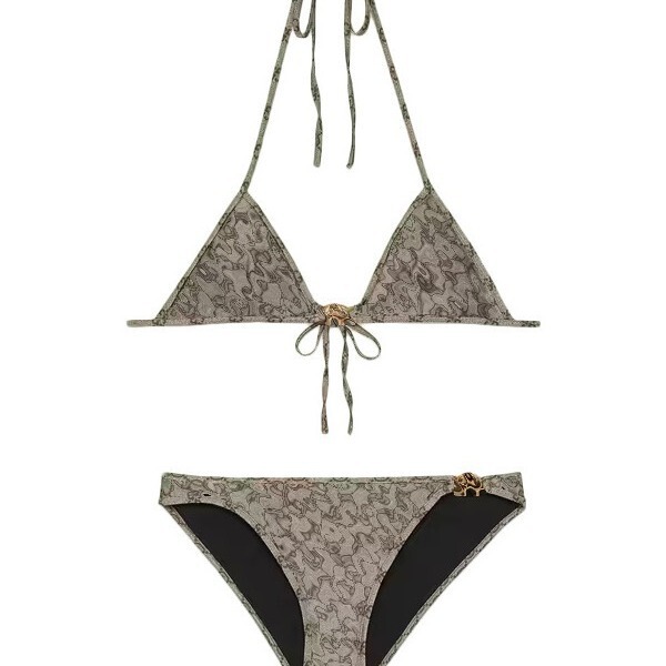 Split Triangle Briefs Printed Bikini