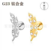 G23⁺Ͻ����봽ᔃ��ݼy��ᔘ��~����ᔴ�ᔱ�����w���̾���