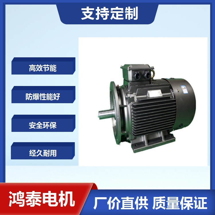 鸿泰低压粉尘防爆型电机	YFB5-315L1-4	160KW	380V	安装维修方便