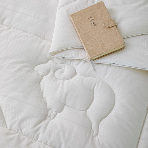 2024 Australian wool quilt 100% cotton wool quilt gift quilt winter quilt spring and autumn quilt single quilt core gift wholesale