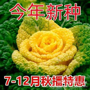 �S�Ğ����˷N���ͺ��͝����ͥԺ�Nֲ�ջ��������S�Ĳ��߲˷N����