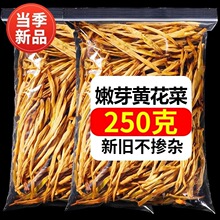 S500gɢbrrᘲ˸؛aoÓˮ߲˸