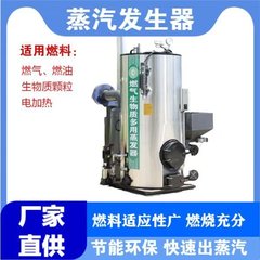 0.3トン石炭燃焼蒸気発生器薪バーナーバイオマスペレット蒸気発生器